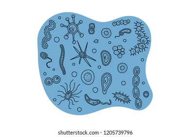 Bacteria cells banner. Microorganism collection. Vector doodle style composition.