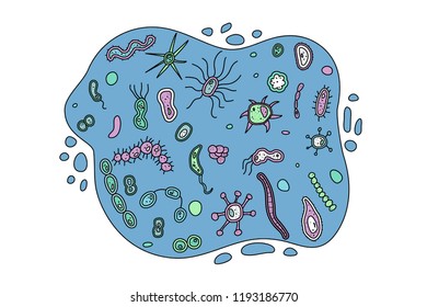 Bacteria cells liquid composition. Set of microorganisms. Vector doodle style illustration.