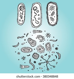 Bacteria. Cells. Microorganisms under a microscope. Dirty surface under a microscope. Virus. Background. Set.