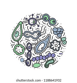 Bacteria cells set. Microorganism collection round composition. Vector doodle style objects isolate on white background.