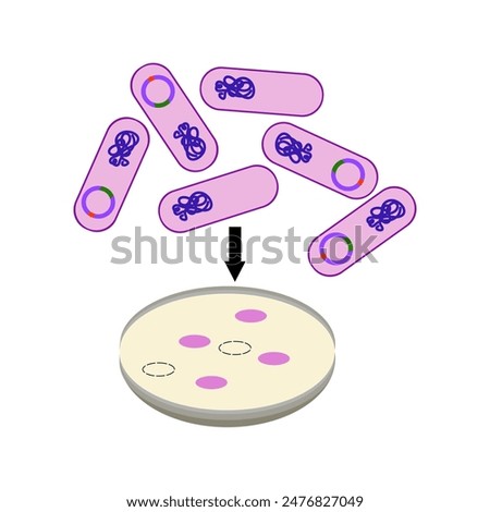 Bacteria cloning genetic engineering illustration 