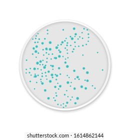 Bacteria colony spots on round dishes. Mold fungus growing microflora