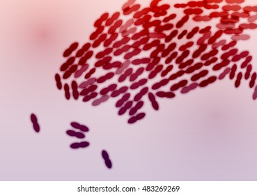 Bacteria Colony - Vector Illustration