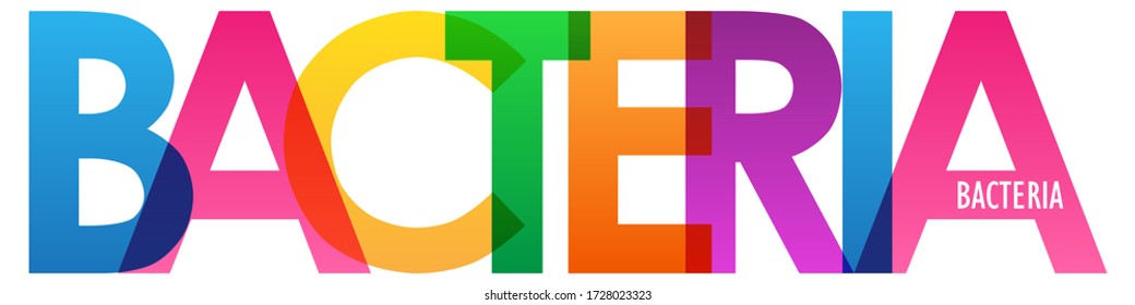 BACTERIA colorful vector typography banner