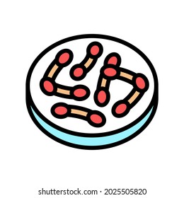 bacteria corynebacterium diphtheriae color icon vector. bacteria corynebacterium diphtheriae sign. isolated symbol illustration