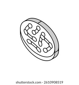 bacteria corynebacterium diphtheriae isometric icon vector. bacteria corynebacterium diphtheriae sign. isolated symbol illustration
