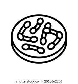 bacteria corynebacterium diphtheriae line icon vector. bacteria corynebacterium diphtheriae sign. isolated contour symbol black illustration