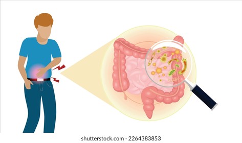 Bacteria in digestive system caused food poisoning for contaminated food and food safety stomach pain and bacteria in magnifying glass. Food contamination and foods safety hazard stomach pain bacteria