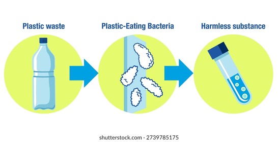 Bacteria eating plastic. Vector infographic. Plastic pollution. Ideonella sakaiensis. Bacteria capable of rapidly degrading polyethylene terephthalate (PET). Waste recycling using living organisms