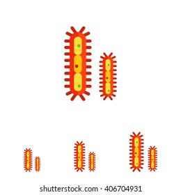 Bacteria with flagella