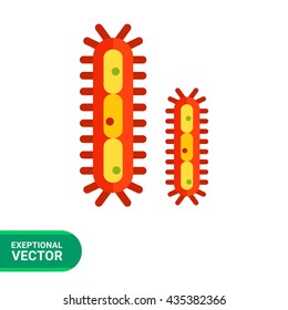 Bacteria with flagella