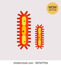 Bacteria with flagella