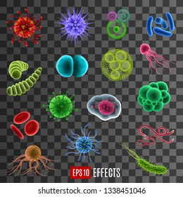 Bacteria, germ and virus cells 3d icons of microorganisms, harmful microbes and infectious disease pathogens on transparent background. Medicine, health care and microbiology science vector theme