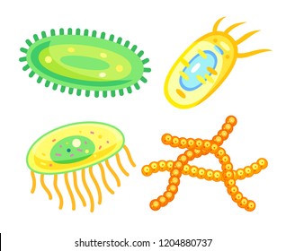 Bacteria and germs cells, microbes vector icons. Microorganisms and viruses disease-causing objects with organelles and flagella, protozoa isolated