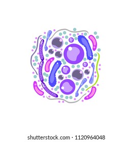 Bacteria and germs colorful set, micro-organisms disease-causing objects, different types, bacteria, viruses, fungi, protozoa. Vector flat style cartoon illustration isolated