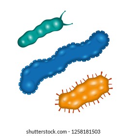 Bacteria and germs colorful set, micro-organisms disease-causing objects, different types, bacteria, viruses, fungi, protozoa. Vector flat style cartoon illustration isolated on white background