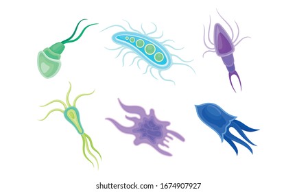 Bacteria and Germs of Different Shapes Isolated on White Background Vector Set