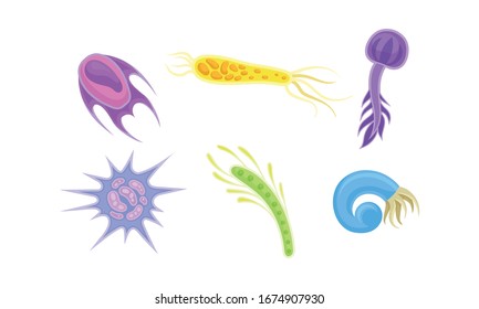 Bacteria and Germs of Different Shapes Isolated on White Background Vector Set