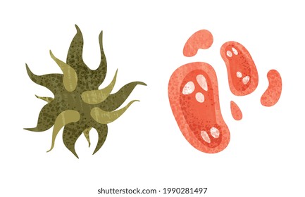 Conjunto de bacterias y gérmenes, microorganismos coloridos Ilustración vectorial de dibujos animados
