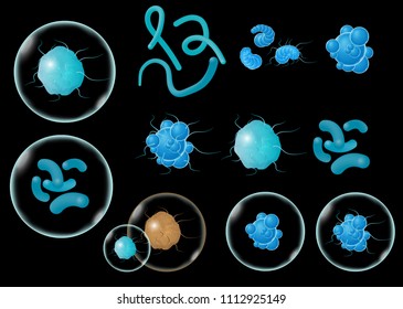 Bacteria and germs set, micro-organisms disease-causing objects, different types, bacteria, viruses. Vector illustration isolated on black background