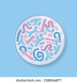 Bacteria gram. 3d render top view petri dishe with different colorful microorganisms, bacillus and germs. Microbiology and bacteriology laboratory tests concept. Vector licrobiome illustration,