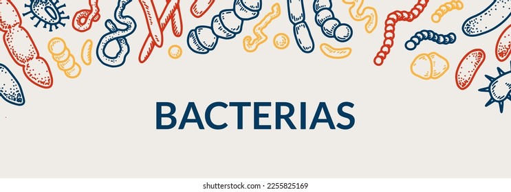 Bacteria horizontal design. Hand drawn vector illustration in sketch style