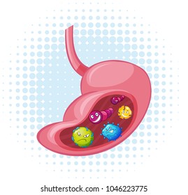 Bacteria in human stomach illustration