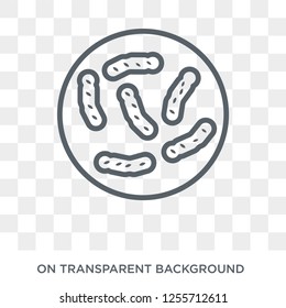 Bacteria icon. Bacteria design concept from  collection. Simple element vector illustration on transparent background.