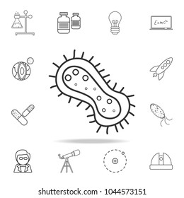 bacteria icon. Detailed set of science and learning outline icons. Premium quality graphic design. One of the collection icons for websites, web design, mobile app on white background