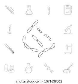 Bacteria icon. Detailed set of Science and lab illustrations. Premium quality graphic design icon. One of the collection icons for websites, web design, mobile app on white background