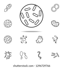 bacteria icon. Bacteria icons universal set for web and mobile