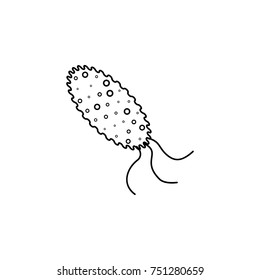 bacteria icon on white background