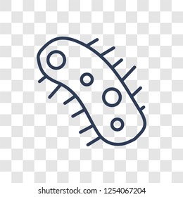 Bacteria icon. Trendy linear Bacteria logo concept on transparent background from Hygiene collection