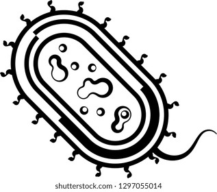 Bacteria Icon, Bacteria Vector Art Illustration