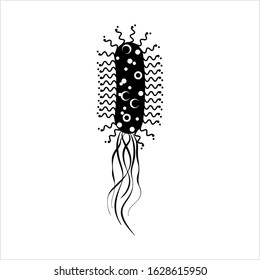 Bacteria Icon, Bacteria Vector Art Illustration