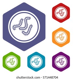 Lot of bacteria icons set rhombus in different colors isolated on white background