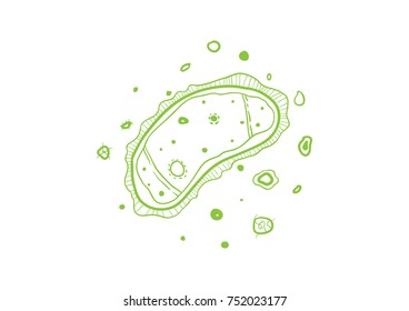 Bacteria Illustration Design Template