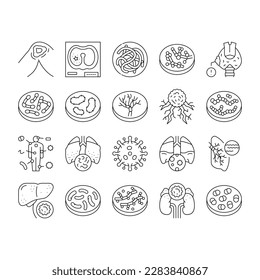Bacteria Infection Collection Icons Set Vector. Candida Bacteria And Plague, Cancer Cell And Thyroid Disease, Cutaneous Mucormycosis And Parasit Worms Black Contour Illustrations