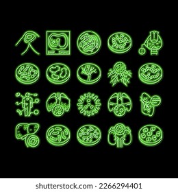Bacteria Infection neon light sign vector. Candida Bacteria And Plague, Cancer Cell And Thyroid Disease, Cutaneous Mucormycosis And Parasit Worms Illustrations