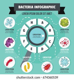 Bacteria infographic banner concept. Flat illustration of bacteria infographic vector poster concept for web