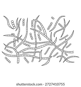 Bacteria inside which spores are being formed