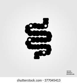 Bacteria in the intestine. Flatulence. 