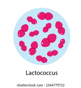 Bacteria Lactococcus icon isolated on white background.  Microorganisms vector illustration.