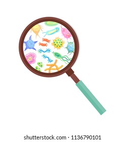 Bacteria and microbe or virus microorganisms through magnifying glass. Vector fancy shaped germ microscopic life creatures zoomed with loupe poster. Coronavirus pandemic
