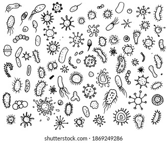 Bacteria and microbes, pathogenic micro-organisms, various types of bacteria, background viruses. vector set of hand-drawn black outline in the style of Doodle Bacteria, microbes and viruses