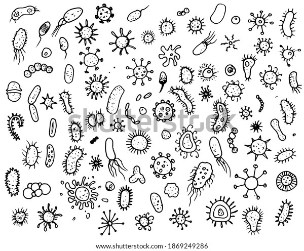 Bacteria Microbes Pathogenic Microorganisms Various Types Stock Vector ...