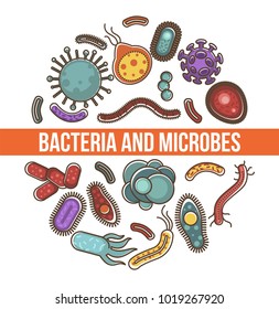 Bacteria and microbes science poster with biological organisms
