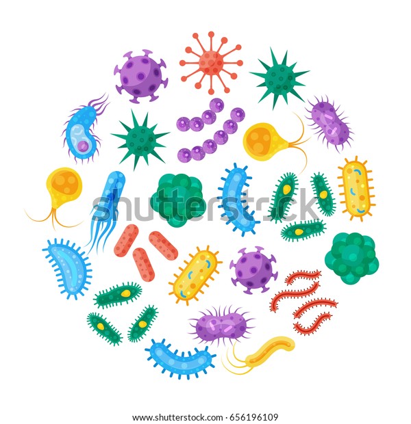 细菌和微生物矢量模板在一个圆形的形式 各种细菌 病毒 细菌和其他微生物的平面插图 库存矢量图 免版税