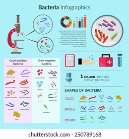 Bacteria and microorganisms infographic set with microscope and medical charts vector illustration