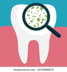 Bacteria on a human white tooth being viewed on a magnifying glass. Vector illustration
